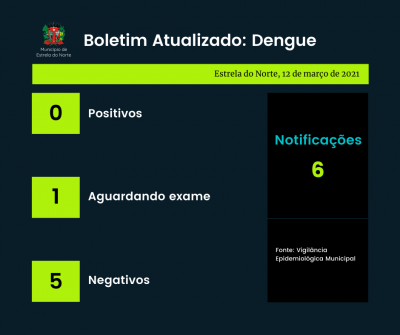 Dengue: boletim atualizado de 12 de março de 2021