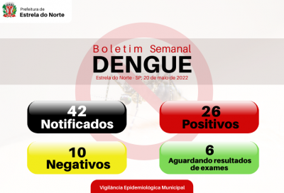 Dengue: boletim atualizado