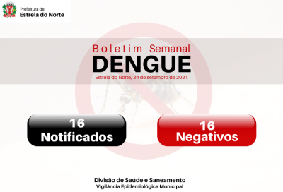 Dengue: boletim atualizado