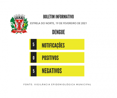 Dengue: boletim atualizado de 19 de fevereiro de 2021