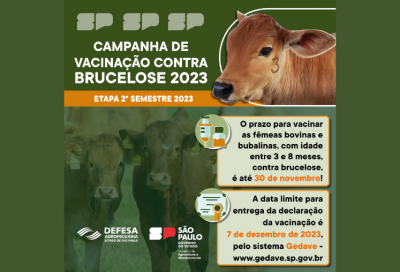 Vacinação contra brucelose termina em 30 de novembro